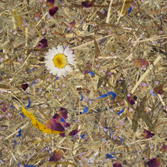 Collection image for: Kollektion Organoid