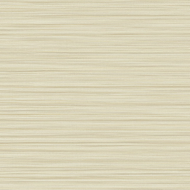 Muster von Cozumel 50531