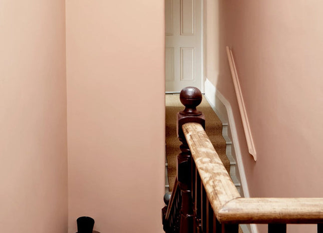 Peach Flesh Pink 268