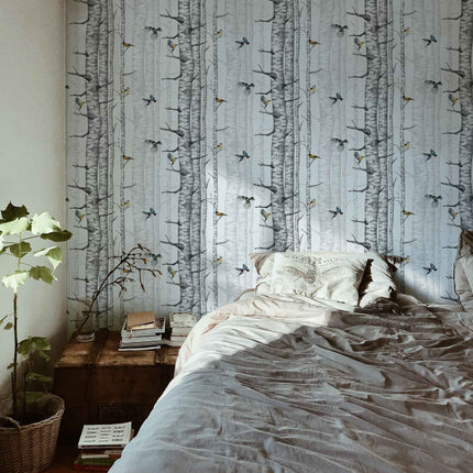 Birch Trees 9500040
