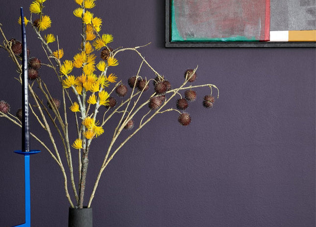 Empire Violet 80