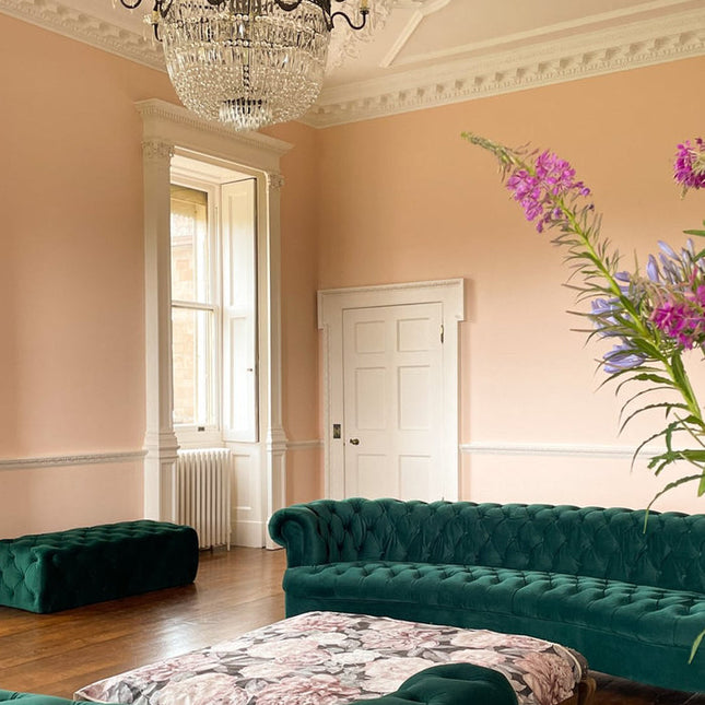 Gentleman'S Pink 221