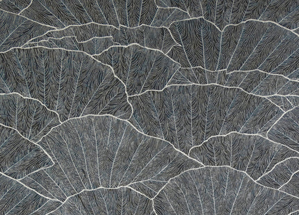 Seashell 65005-HTM