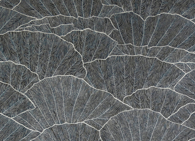 Seashell 65005-HTM