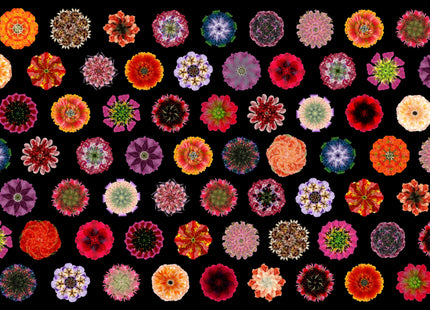 Muster 50 x 50 cm von Flores 3008