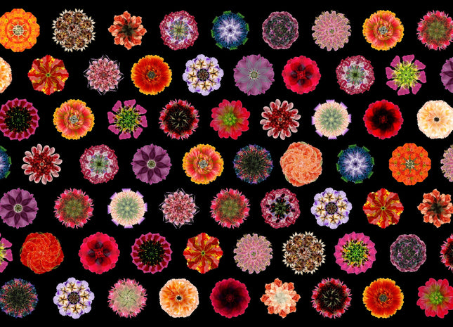 Muster 50 x 50 cm von Flores 3008