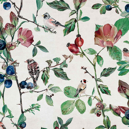 Goldfinch Song 9500030