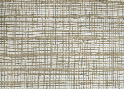 Muster von Salt,  Fondo Pine Nut