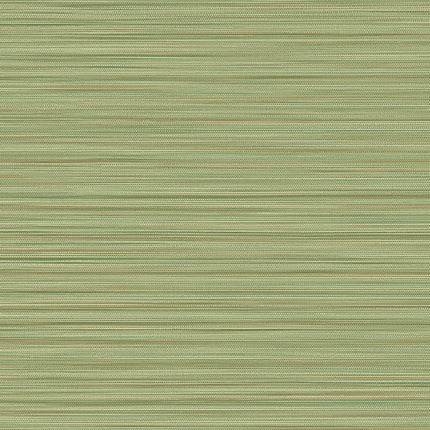 Muster von Cozumel 50541