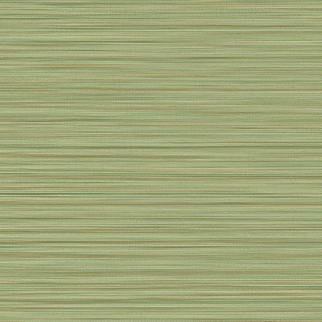 Muster von Cozumel 50541