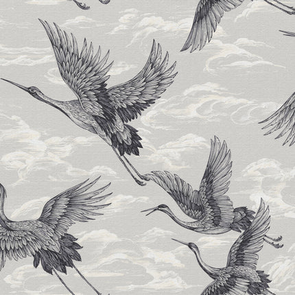 Imperial Ibis B00134