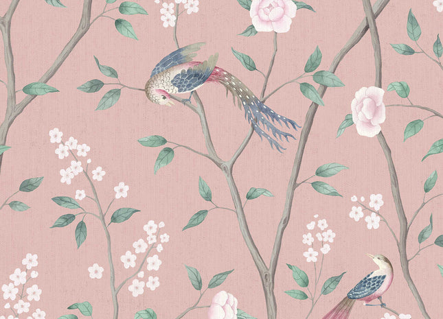 Paradise Birds 1901