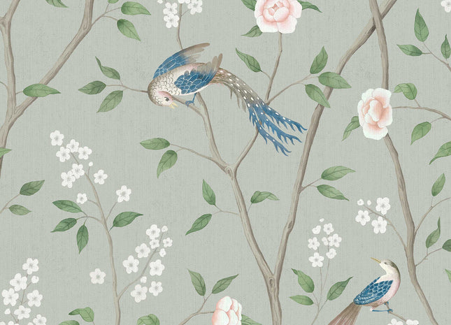 Paradise Birds 1903