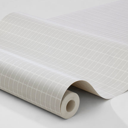 Muster Alvar Aalto M.I.T 1966