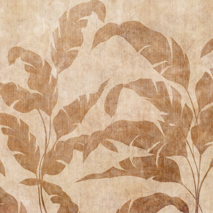 Leaves Shadow B00466