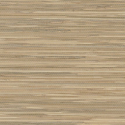 Muster von Natural Wallcoverings II 389558