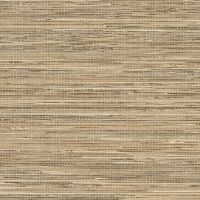 Muster von Natural Wallcoverings II 389558