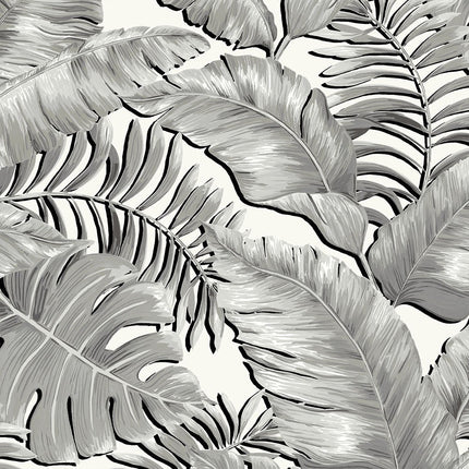 Banana Leaves Black & White BMTD001/06A