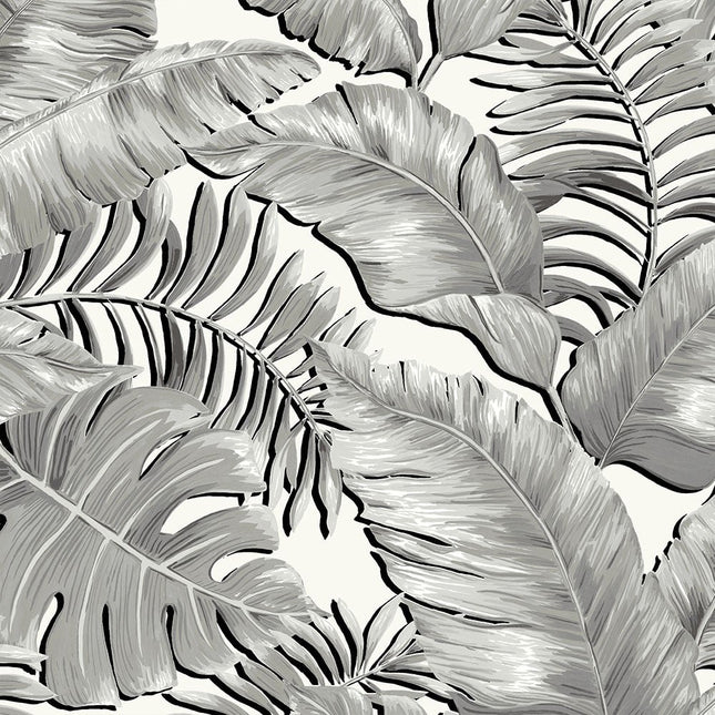 Banana Leaves Black & White BMTD001/06A