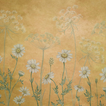 Dazzling Daisies yellow 2010