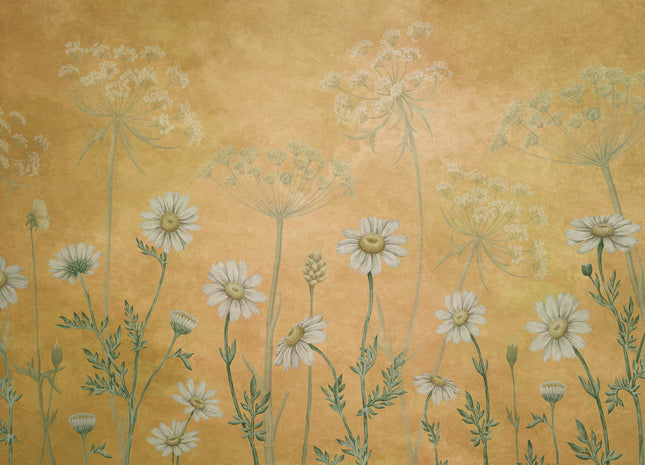 Dazzling Daisies yellow 2010