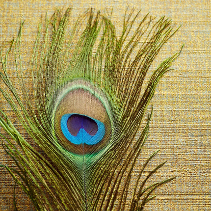 Muster von Masterpiece 358050