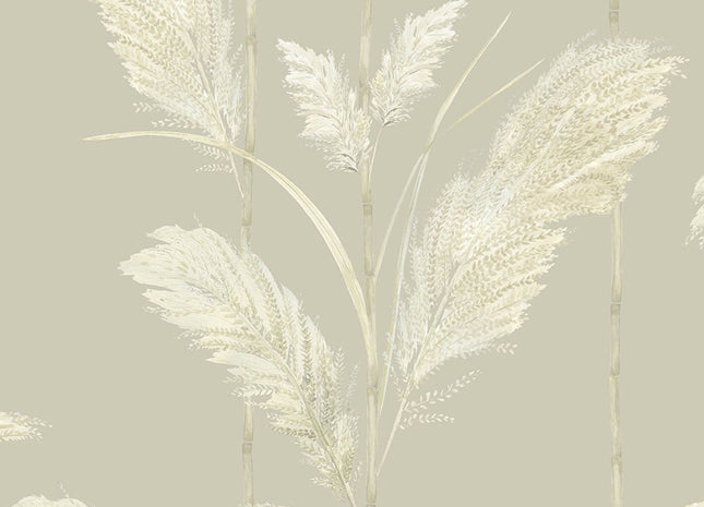 Pampas Grass Oatmeal BMTD001/10C