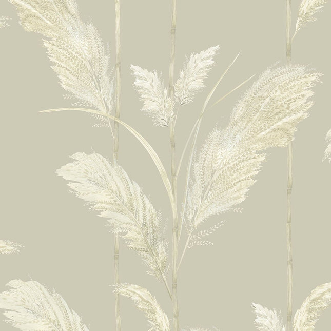 Pampas Grass Oatmeal BMTD001/10C