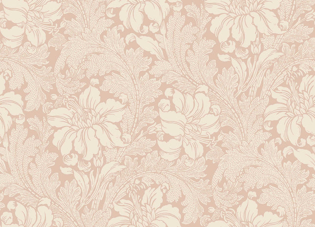 Acanthus 2009