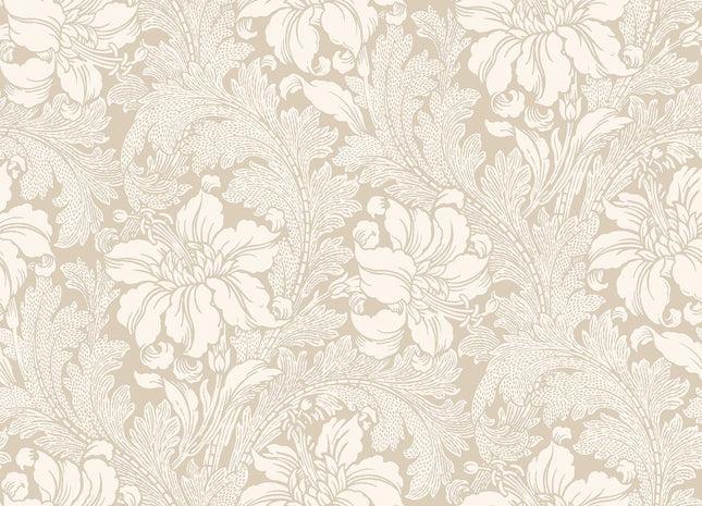 Acanthus 2011