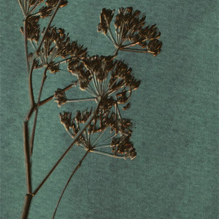 Wallpower Favourites 309024