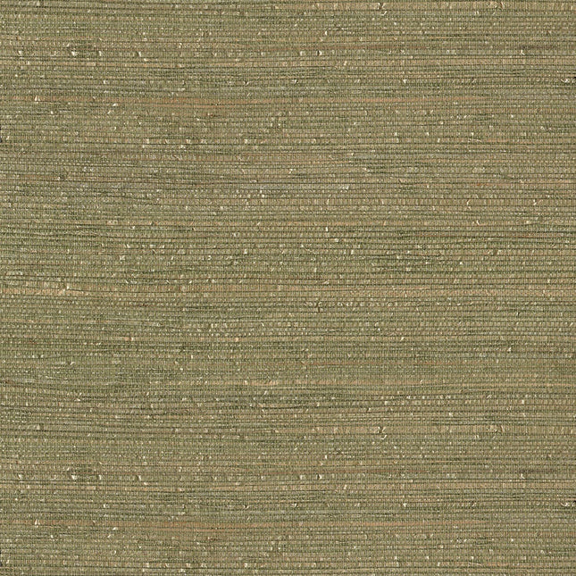 Muster von Natural Wallcoverings III 303507