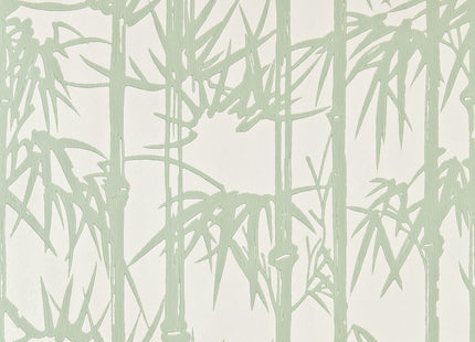 Bamboo Large 5051836513917