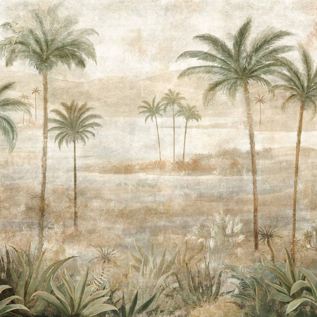 Draa Palms B00452