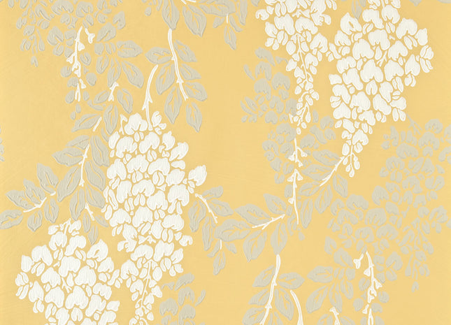 Wisteria 5051836521219