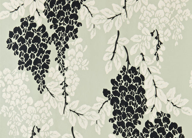 Wisteria 5051836521318