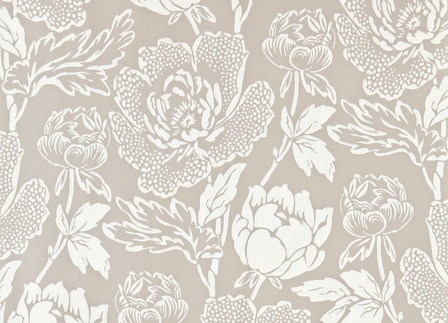 Peony 5051836522216