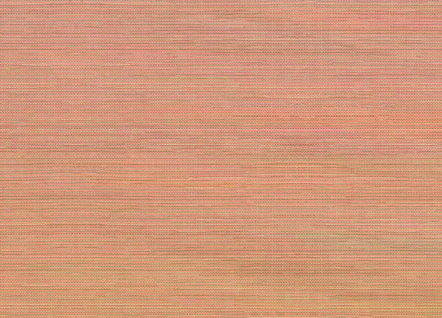 Dash 2551.04