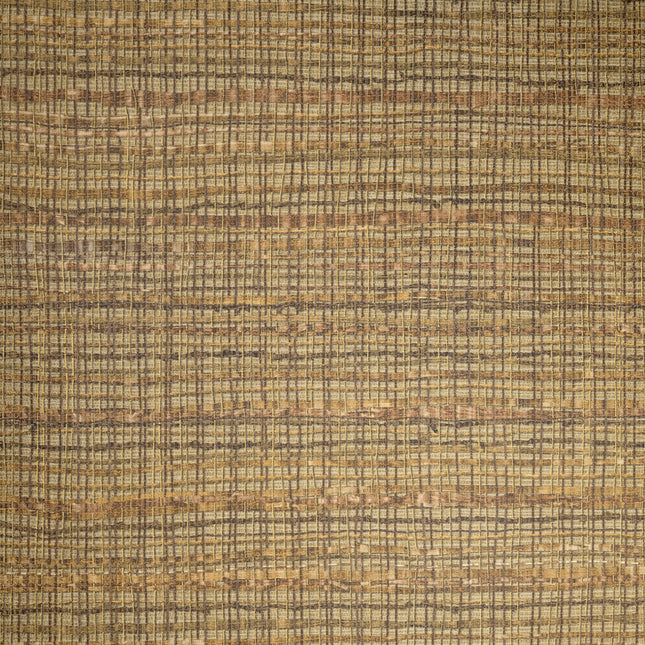 Pepper,  Fondo Curcuma