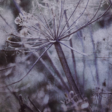 Wallpower Favourites 309026