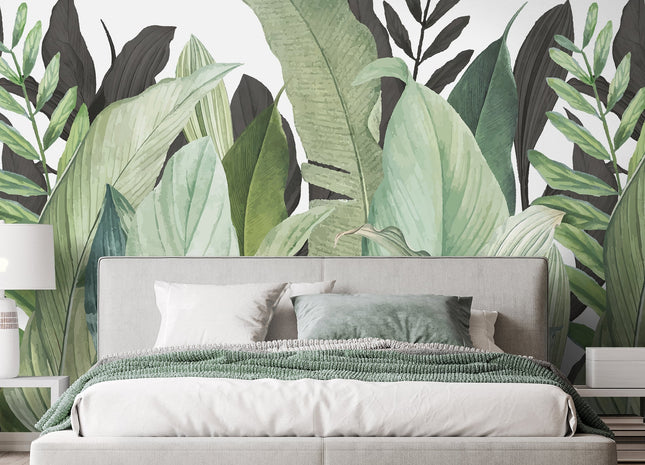Tropical Forest 18001