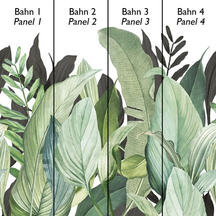 Tropical Forest 18001