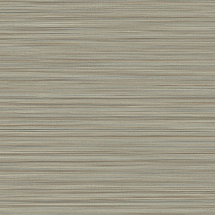 Muster von Cozumel 50535