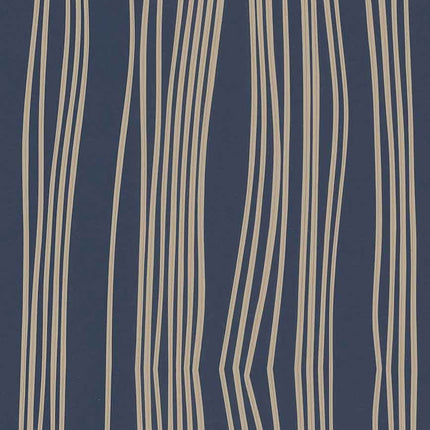 Tectonic Faults A00151