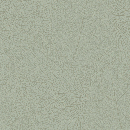 Muster von Embrace 324045