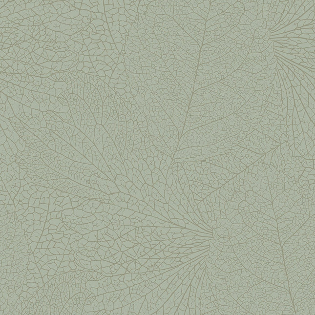 Muster von Embrace 324045