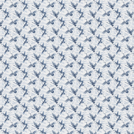 Imperial Ibis B00136