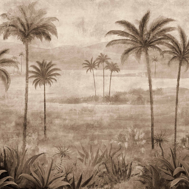 Draa Palms B00455
