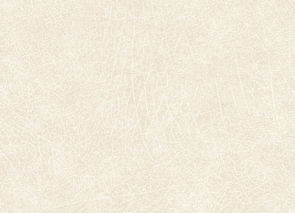 Skin 300510