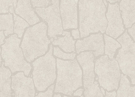 Skin 300530